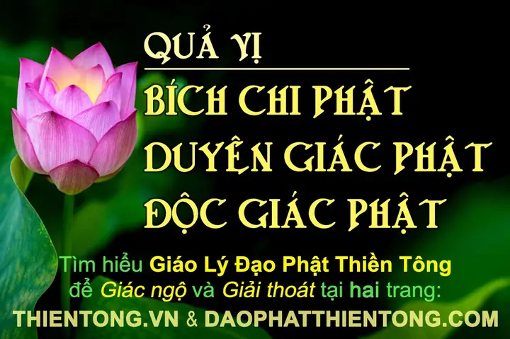 Quả Vị Bích Chi Phật, Duyên Giác Phật, Độc Giác Phật