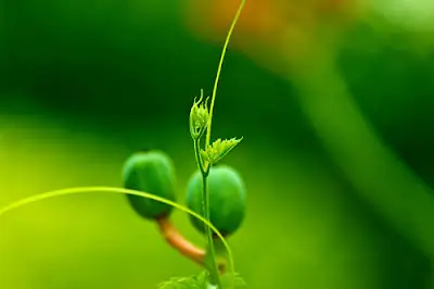 Duyên Phận Của Con Người Là Một Loại Quan Hệ Nhân Quả