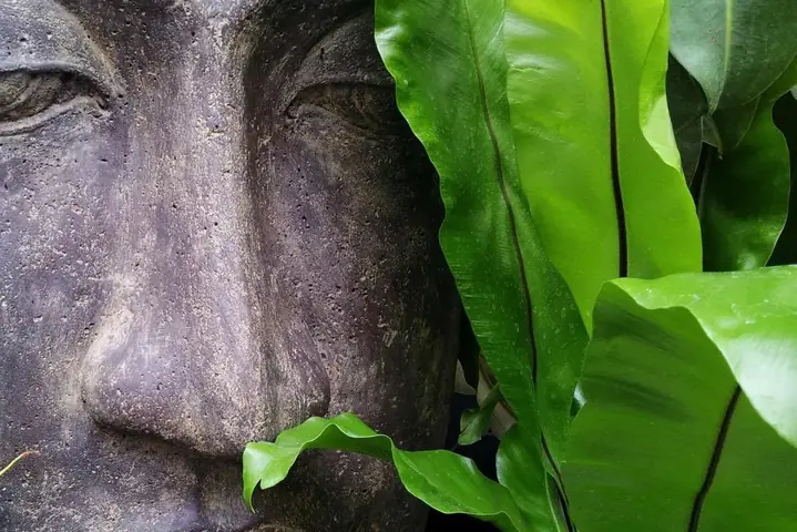 Người Thực Sự Hiểu Phật Là Người ‘gặp Phật Giết Phật’