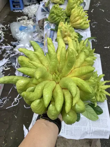 Phật Thủ Lên Giá 600.000 Đồng/quả Vẫn Hút Khách Sắm Tết- Ảnh 2.