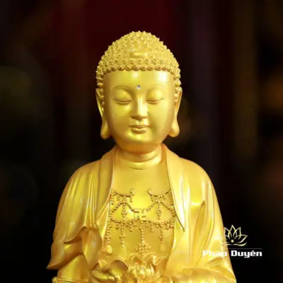 Alternative View Of Tượng Phật A Di Đà Thân Vàng Tịnh Tông, Chất Liệu Composite | Cao 70cm