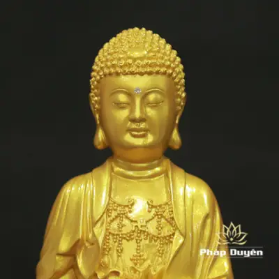 Alternative View Of Tượng Phật A Di Đà Thân Vàng Tịnh Tông Bằng Composite, Cao 36cm