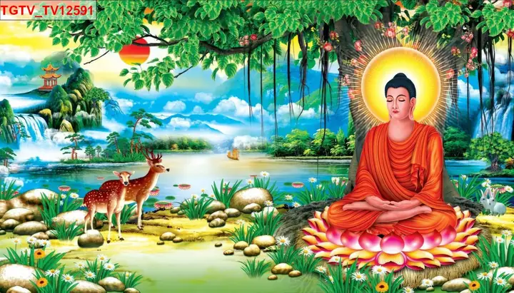 Thông Tin Chi Tiết