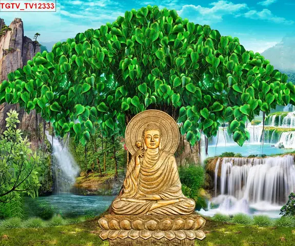 Thông Tin Chi Tiết