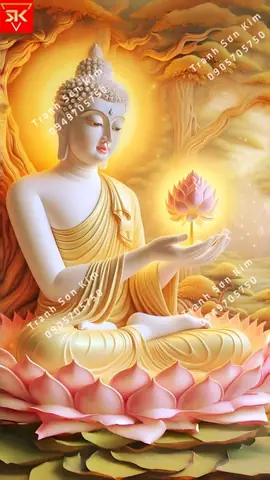 Thông Tin Chi Tiết