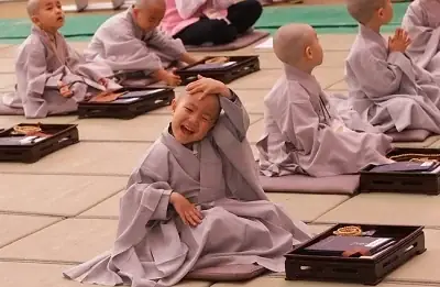 Làm Sao Có Thể Gieo Duyên Phật Pháp Để Kiếp Sau Làm Người Và Được Tu Học?