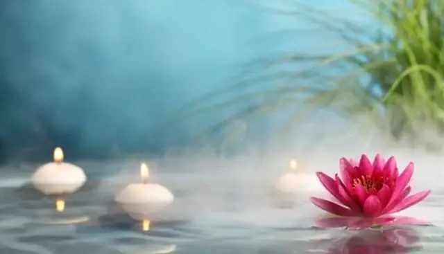 Một Tấm Gương Sáng, Thân Đau Tâm Vẫn Niệm Phật Được Vãng Sanh