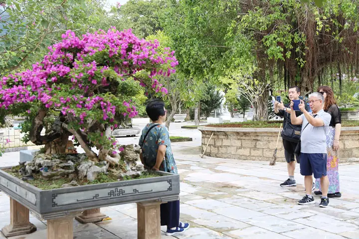 Chụp Ảnh Check-in