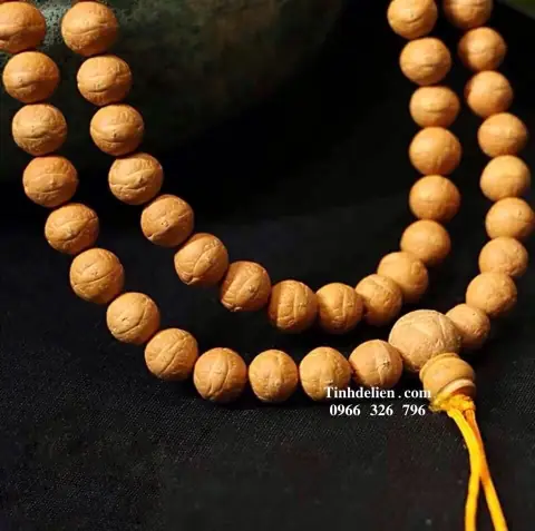 Hướng Dẫn Toàn Tập Về Hạt Bồ Đề Phật Nhãn: Ý Nghĩa, Công Dụng & Cách Bảo Quản