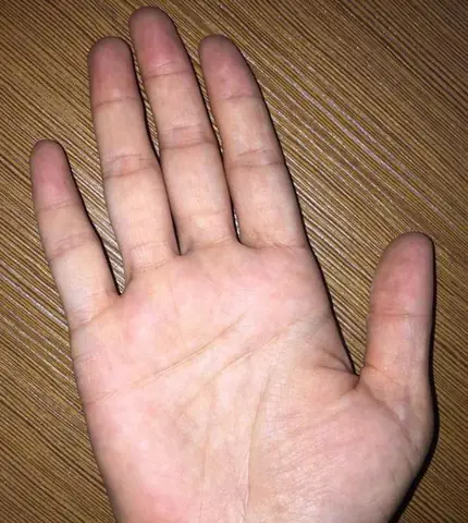 What Are The Most Beautiful Images Of Buddha\'s Hands?