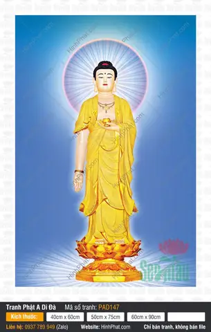 Hình Ảnh Cho Hình Ảnh Chữ Nam Mô A Di Đà Phật: