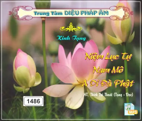 Hình Ảnh Cho Hình Ảnh Chữ Nam Mô A Di Đà Phật: