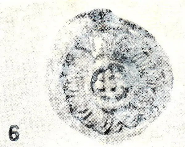 Chùa Phật Tích Qua Một Số Hình Ảnh Cũ