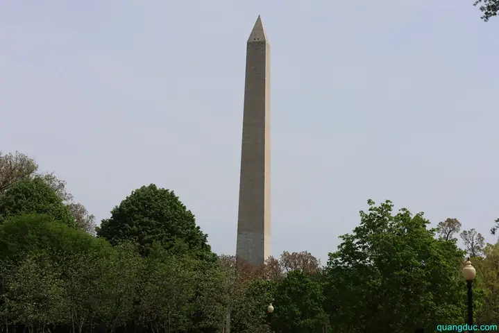 Le Vesak-usa-2025 (234)