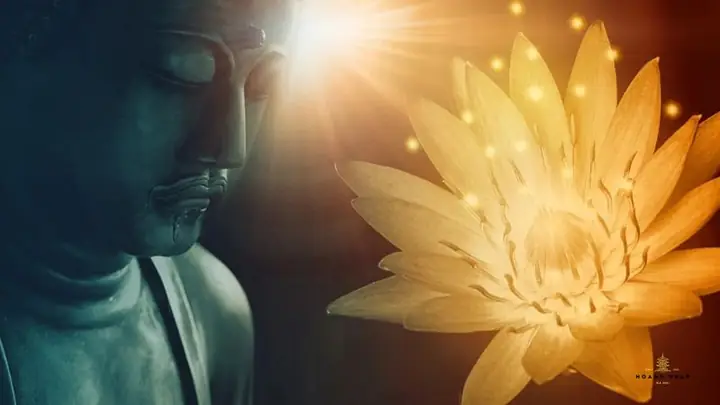 Hoa Sen Vàng Phật Giáo - Biểu Tượng Của Giác Ngộ & Thuần Khiết