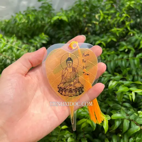 Ứng Dụng Trong Thiền Định Và Lễ Nghi