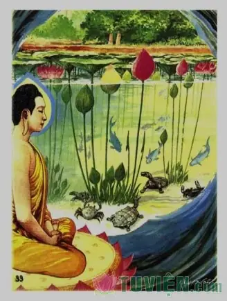 Hình Ảnh Lịch Sử Đức Phật