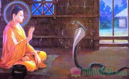 Lịch Sử Cuộc Đời Đức Phật Thích Ca Qua Những Hình Ảnh Đẹp