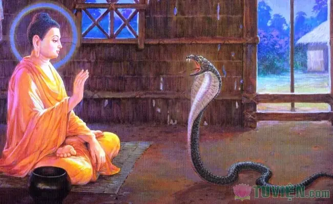 Hình Ảnh Lịch Sử Đức Phật