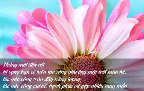 Lời Chúc Mùng 1 Đầu Tháng Hay