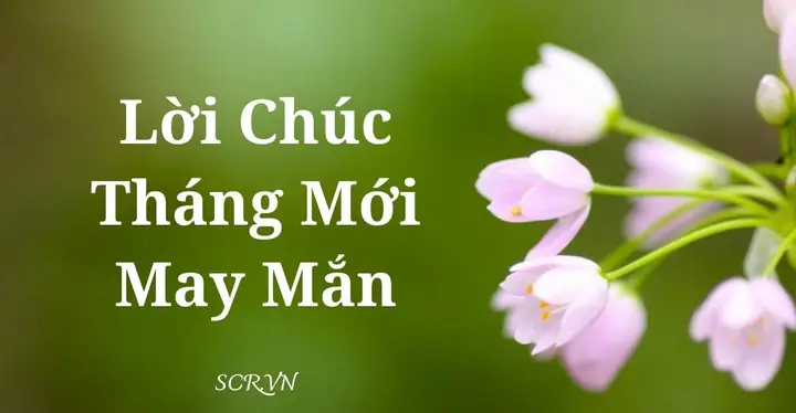 Hình Ảnh Và Lời Chúc Mùng 1 Đầu Tháng