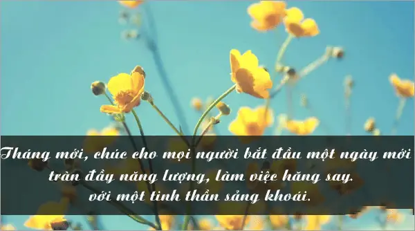 Hình Ảnh Và Lời Chúc Mùng 1 Đầu Tháng