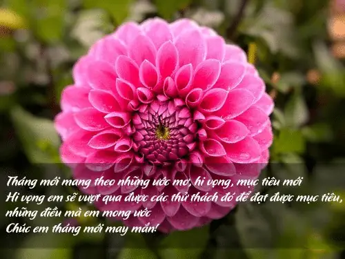 Hình Ảnh Và Lời Chúc Đầu Tháng