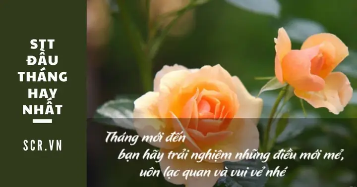 Hình Ảnh Phật Và Lời Chúc Đầu Tháng