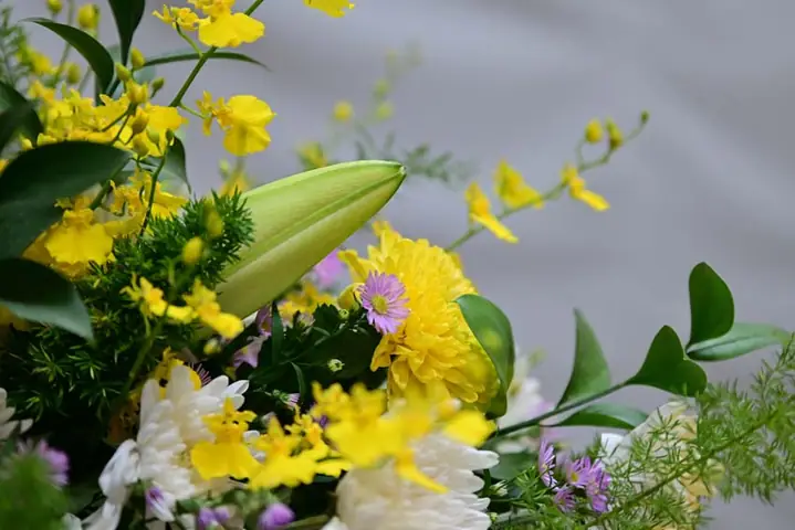 Lễ An Sàng – Phản Khốc