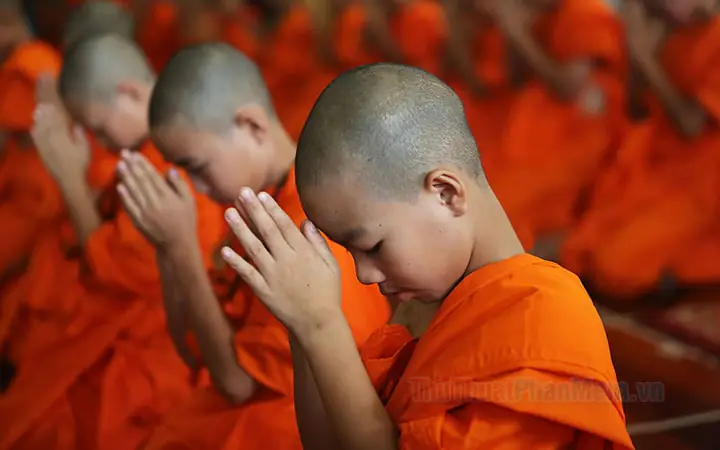 Những Hình Ảnh Lạy Phật Đẹp Nhất, Thể Hiện Sự Tôn Kính Và Thanh Tịnh