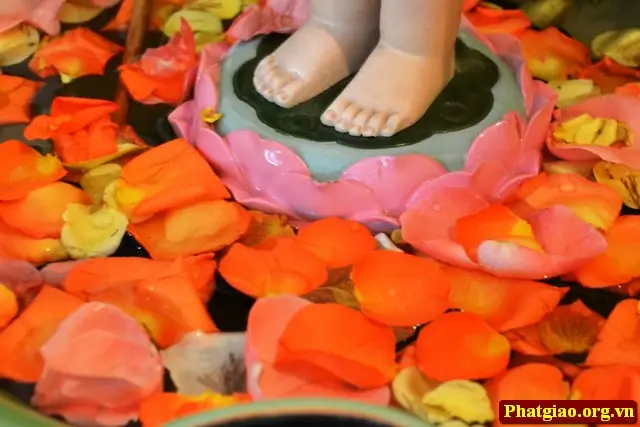 Những Hình Ảnh Đẹp Về Nghi Lễ Tắm Phật 22