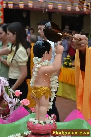 Những Hình Ảnh Đẹp Về Nghi Lễ Tắm Phật 11