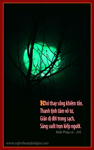 Hình Ảnh Thơ Kinh Pháp Cú - Hình Ảnh - Hoavouu.com