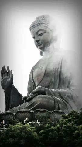 Hình Nền Điện Thoại Phật A Di Đà Có Ý Nghĩa Gì?