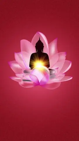 Hình Nền Hoa Sen Hồng