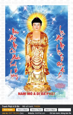 Hình Ảnh Phật A Di Đà Khổ Lớn: Bộ Sưu Tầm Đa Dạng & Hướng Dẫn Lựa Chọn