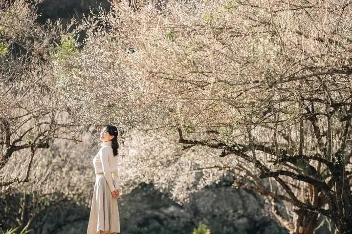 Trải Nghiệm Văn Hóa Địa Phương Và Công Trình Hiện Đại