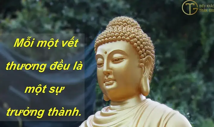 Hình Phật Đẹp Có Chữ Là Gì?