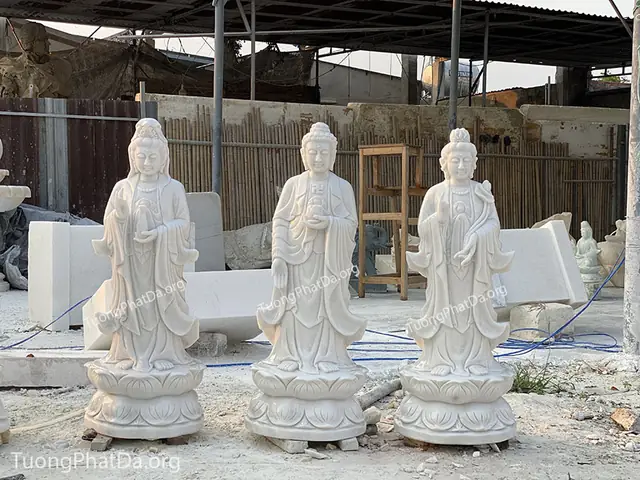 Miêu Tả Sản Phẩm: