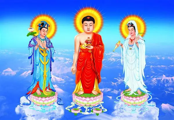 Hình Tam Thế Phật - Size Lớn - Hình Ảnh - Hoavouu.com