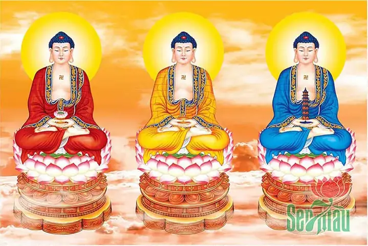 Tổng Hợp 99+ Hình Ảnh Tam Thế Phật Đẹp Nhất