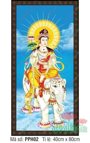 Hình Ảnh Cho Hình Xăm Phật Phổ Hiền Bồ Tát: