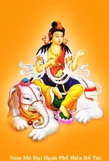 Hình Ảnh Cho Hình Xăm Phật Phổ Hiền Bồ Tát: