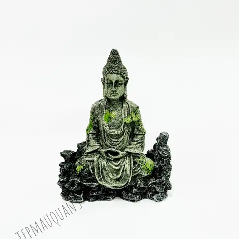 Hồ Thuỷ Sinh Tượng Phật