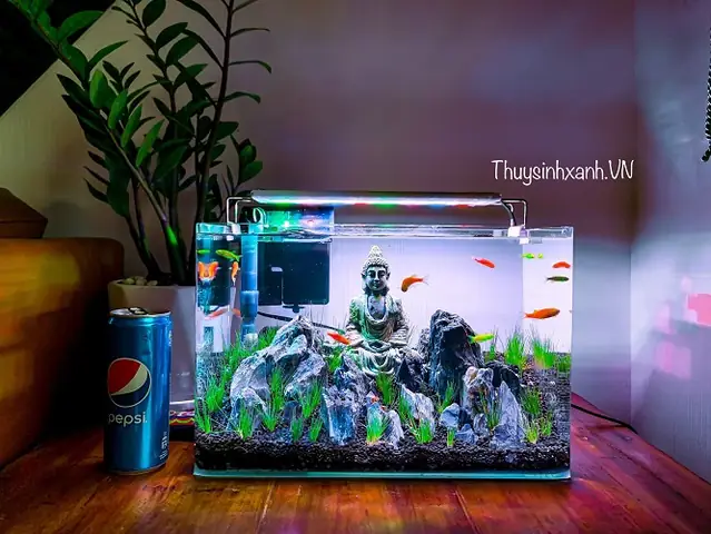 Hồ Thủy Sinh Tượng Phật: Cách Trang Trí & Lợi Ích Phong Thủy