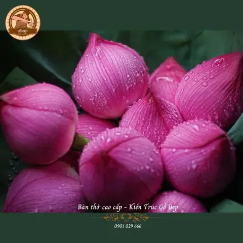 Lưu Ý Quan Trọng Gia Chủ Cần Biết Khi Dâng Hoa Lên Bàn Thờ Phật