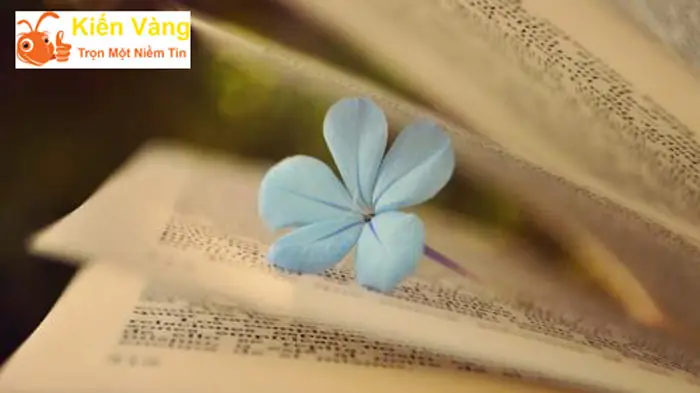 Ý Nghĩa Hoa Rơi Cửa Phật Trong Văn Học