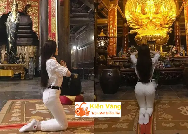 Hoa Rơi Cửa Phật Gái Ngành Gì?