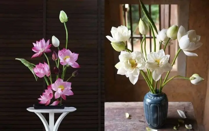 Cách Cắm Hoa Sen Hình Chữ S