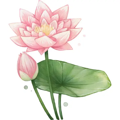 Tải Hình Hoa Sen Miễn Phí